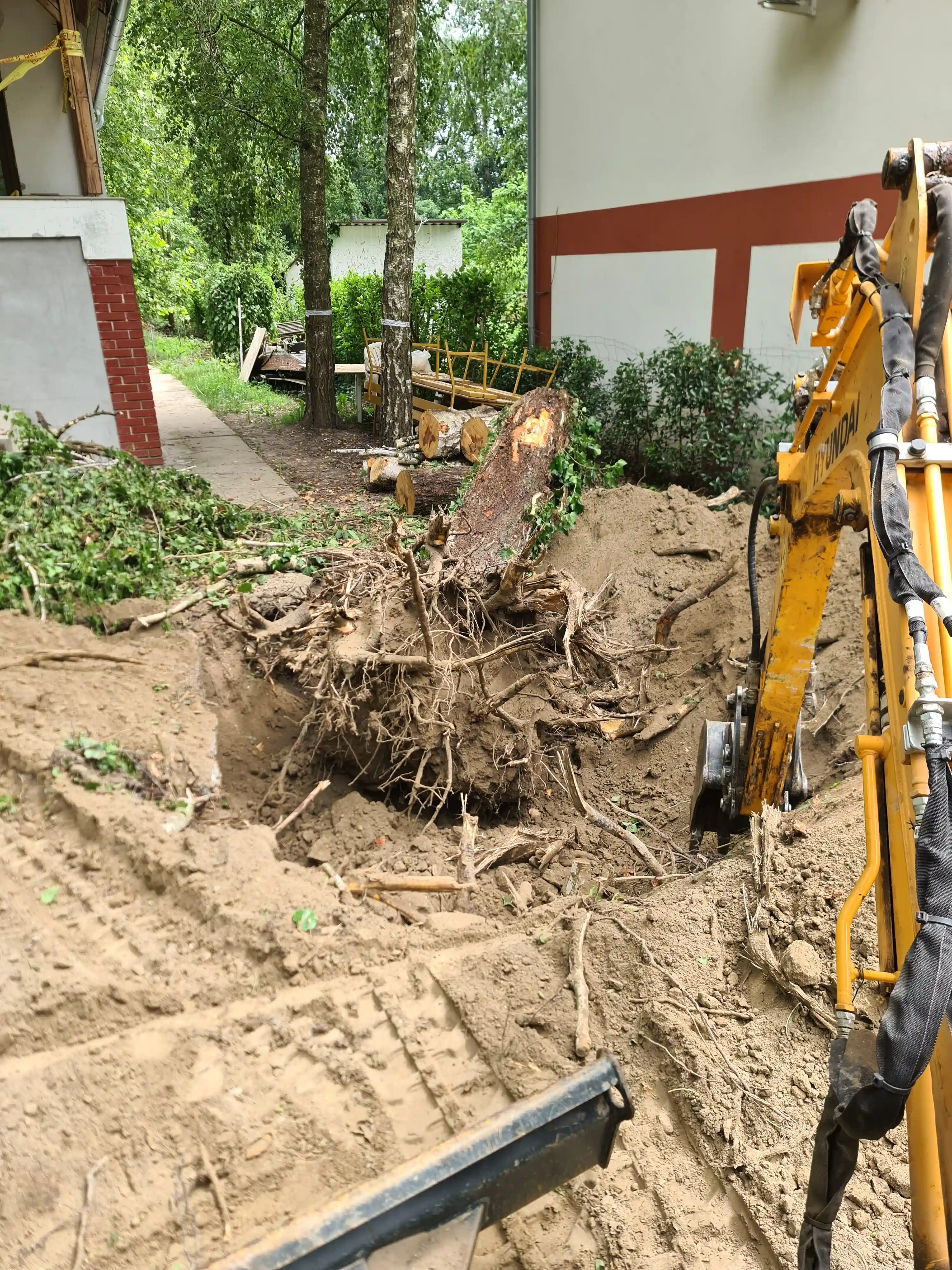 Tereprendezés és -tisztítás referencia 14